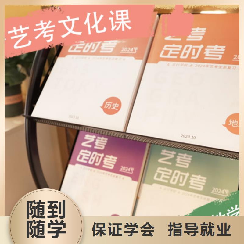 艺考文化课集训班艺考辅导老师专业