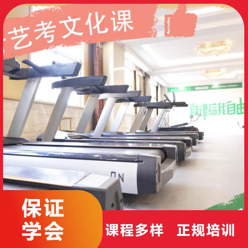 艺考文化课集训班艺考辅导老师专业