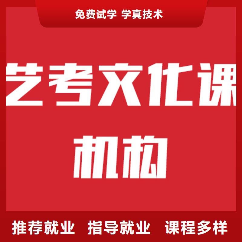 艺考文化课机构高考复读周日班学真技术