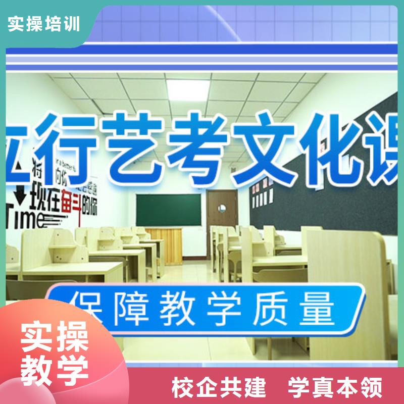 艺考文化课集训【高考复读清北班】学真技术