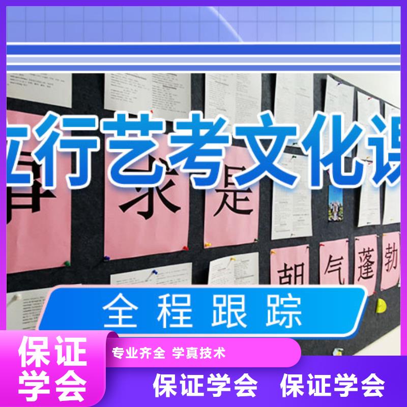 艺考生文化课培训补习排行
