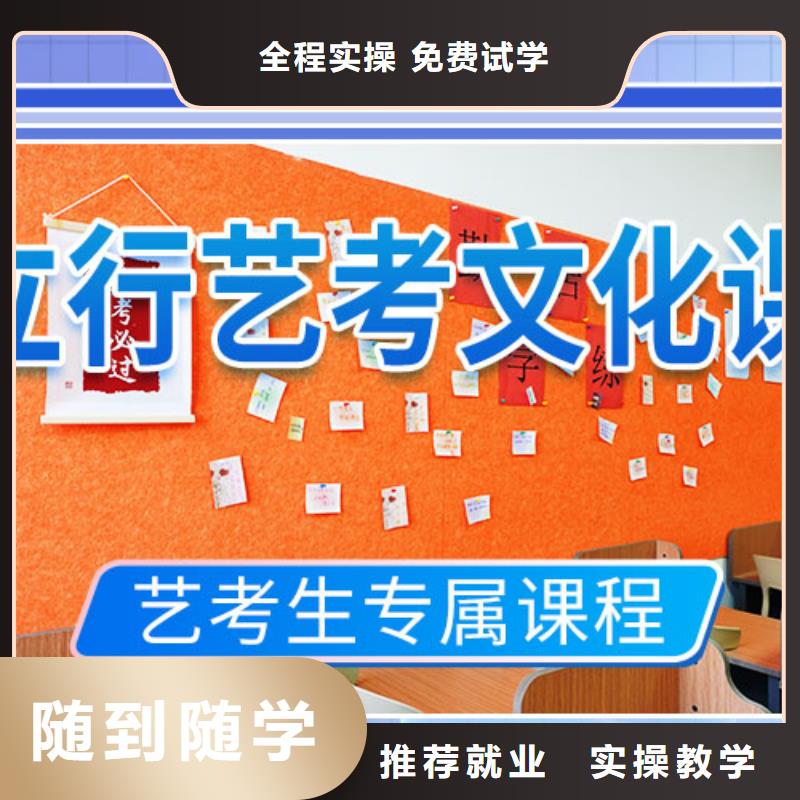 艺考生文化课培训补习有几所