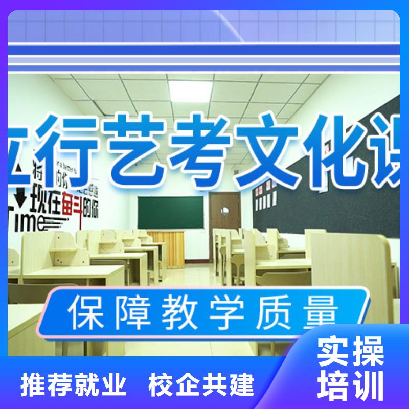 艺考文化课培训【高考小班教学】理论+实操