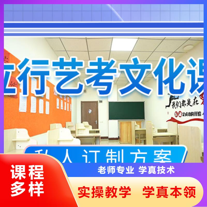 艺考文化课培训-艺术生文化补习学真技术