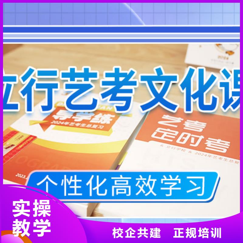 艺考文化课培训【高考小班教学】理论+实操