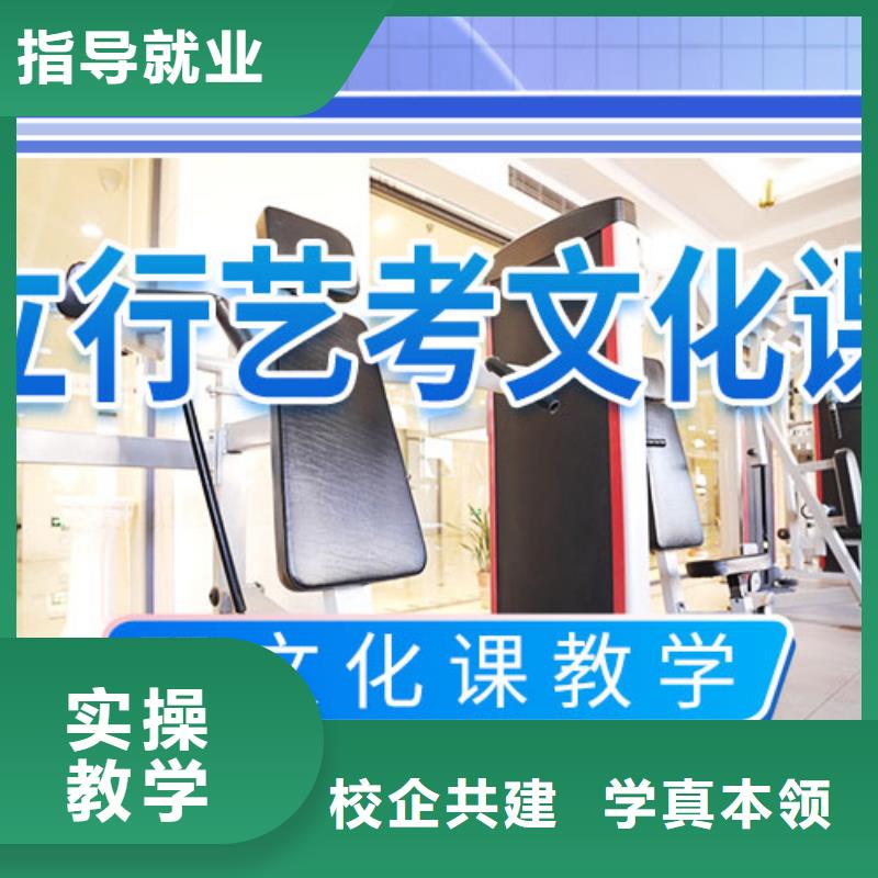 艺考文化课培训-艺术生文化补习学真技术