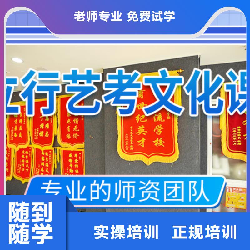 【艺考文化课冲刺】【高考复读清北班】理论+实操