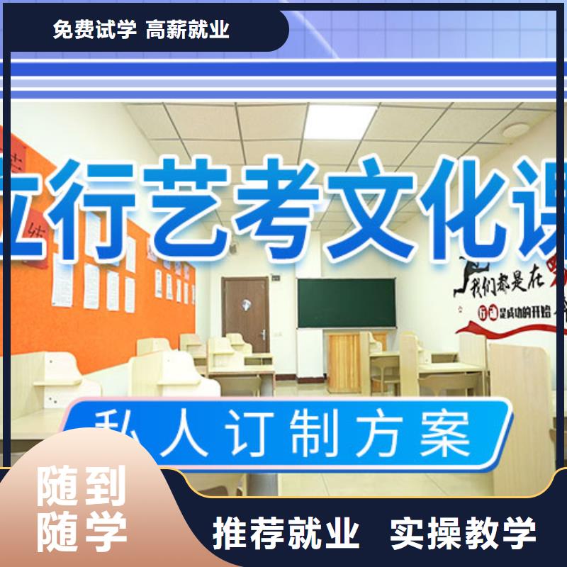 艺考文化课冲刺艺考一对一教学全程实操