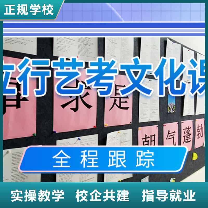 艺考生文化课辅导集训哪个好