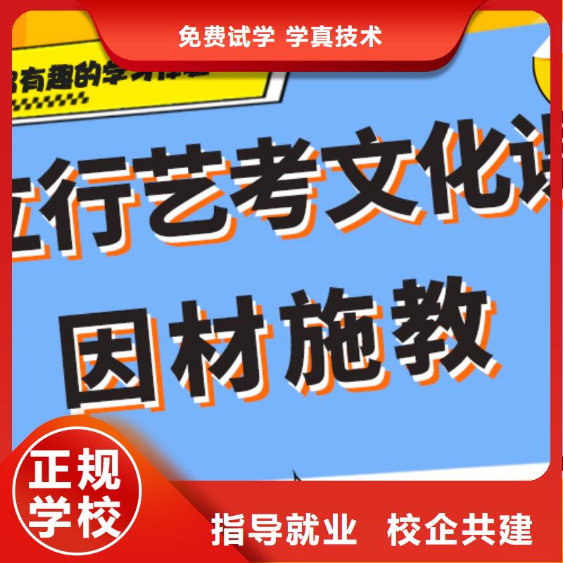 艺考生文化课补习学校高考复读学真技术