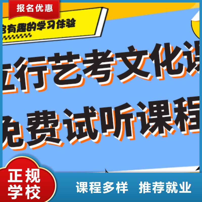 艺考生文化课培训补习好不好精准的复习计划