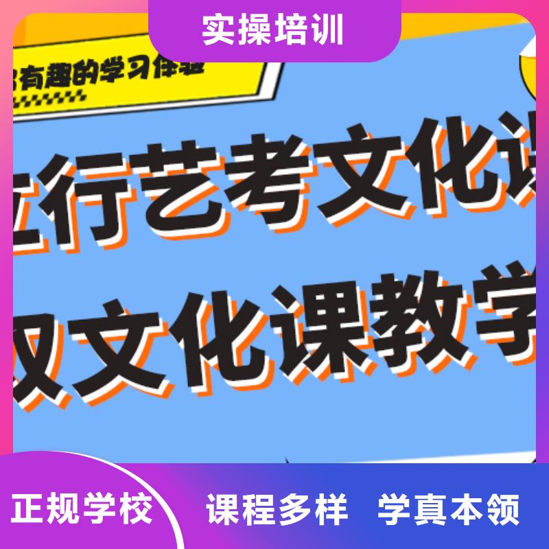 艺术生文化课补习机构哪家好定制专属课程