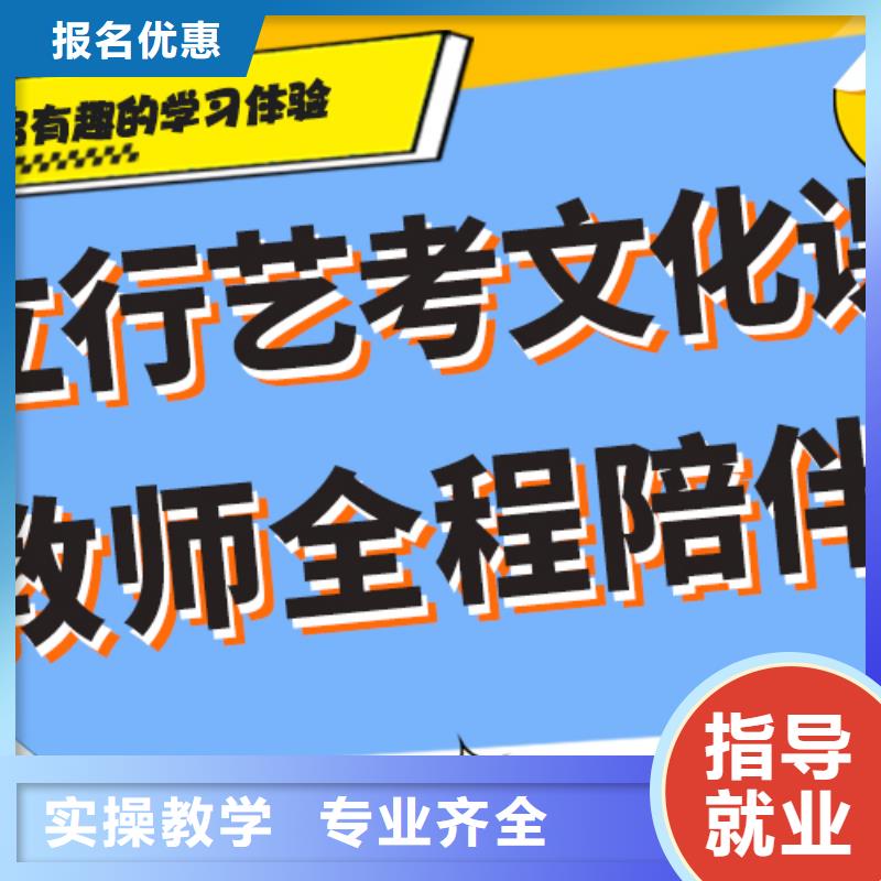 艺术生文化课培训补习有哪些定制专属课程