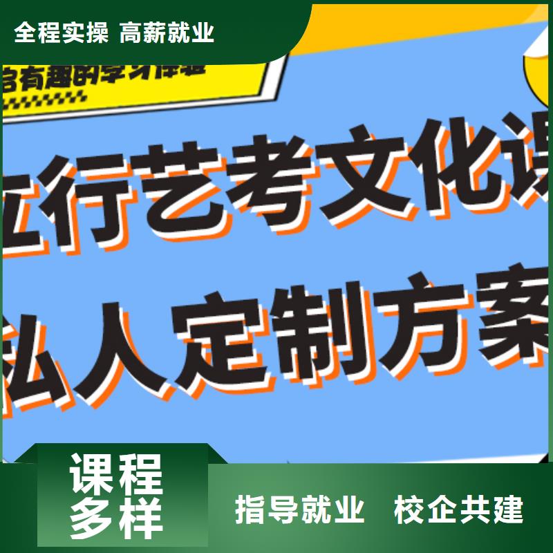 艺术生文化课培训补习有哪些定制专属课程