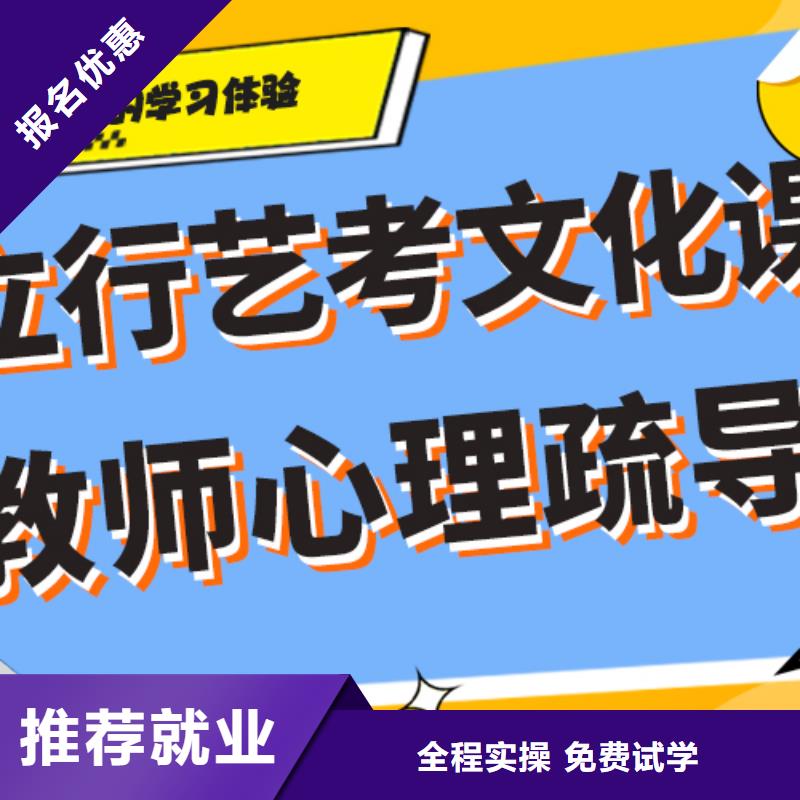 学费艺术生文化课辅导集训定制专属课程