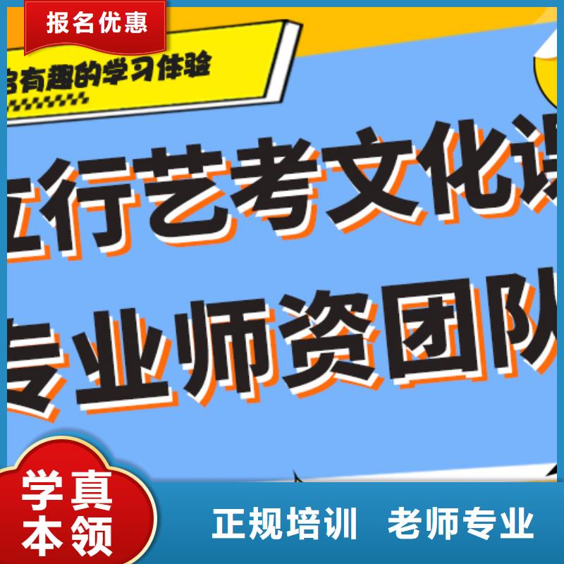 学费艺术生文化课辅导集训定制专属课程