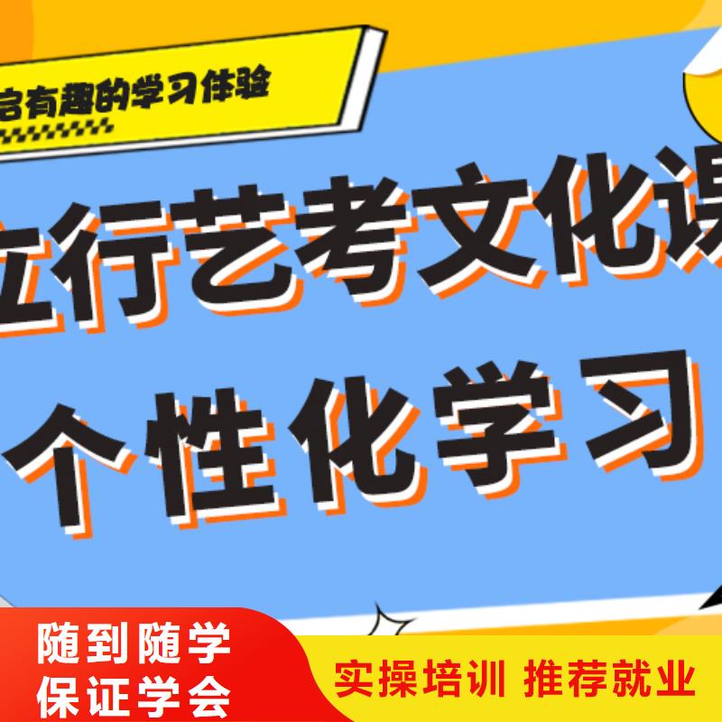 艺术生文化课培训补习哪里好艺考生文化课专用教材