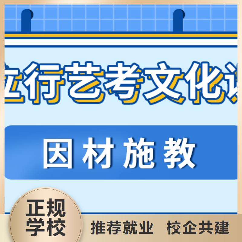 艺术生文化课培训补习哪里好艺考生文化课专用教材