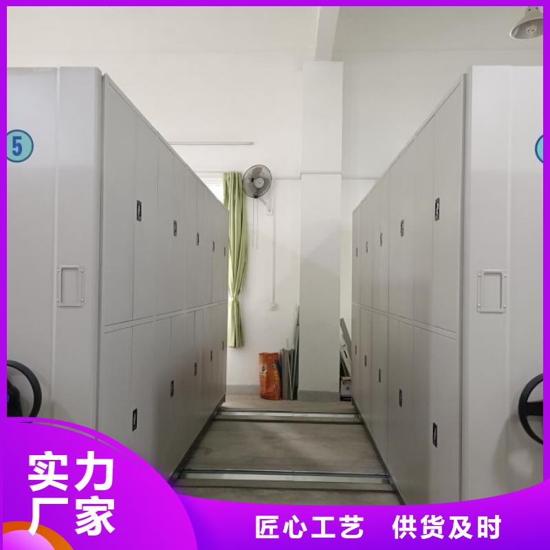 图纸定做【桦平】乐东县网片式油画密集架