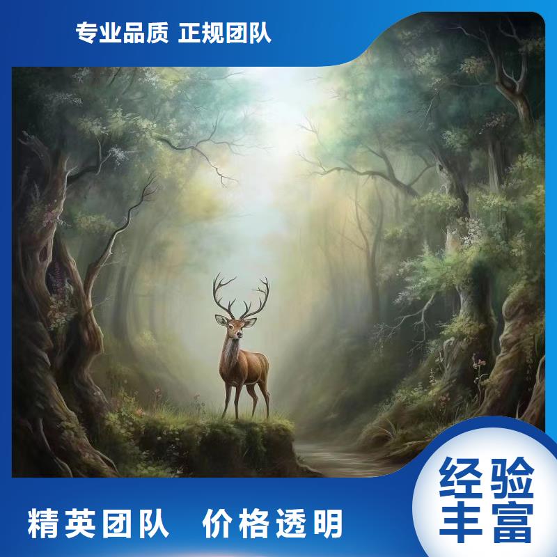 壁画彩绘手绘涂鸦绘画团队