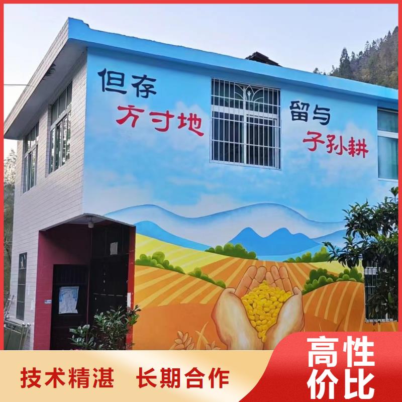 美丽乡村振兴彩绘墙绘团队