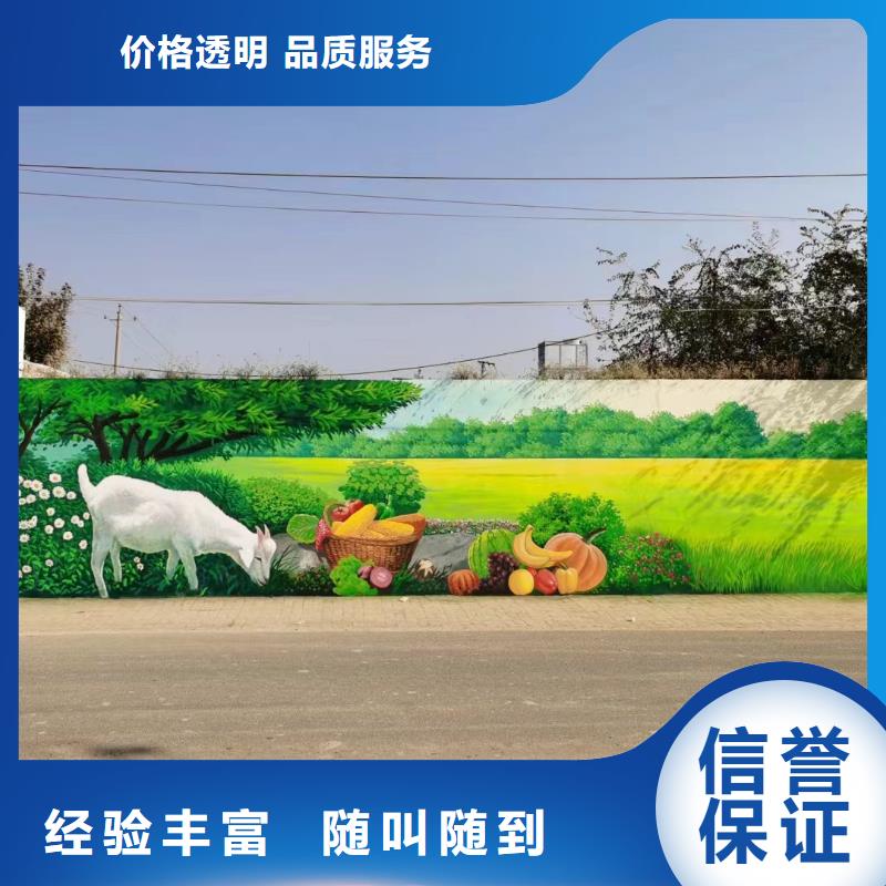 乡村振兴墙绘手绘墙彩绘公司团队