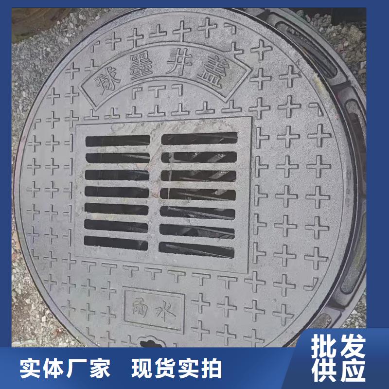 爬梯踏步球墨铸铁在线报价建通铸造厂家