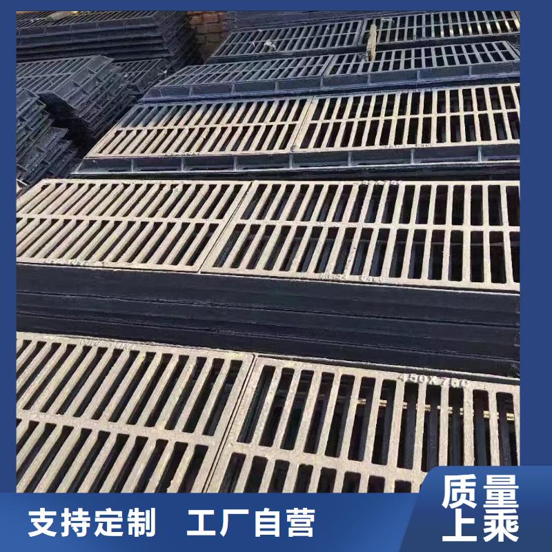 爬梯踏步球墨铸铁在线报价建通铸造厂家