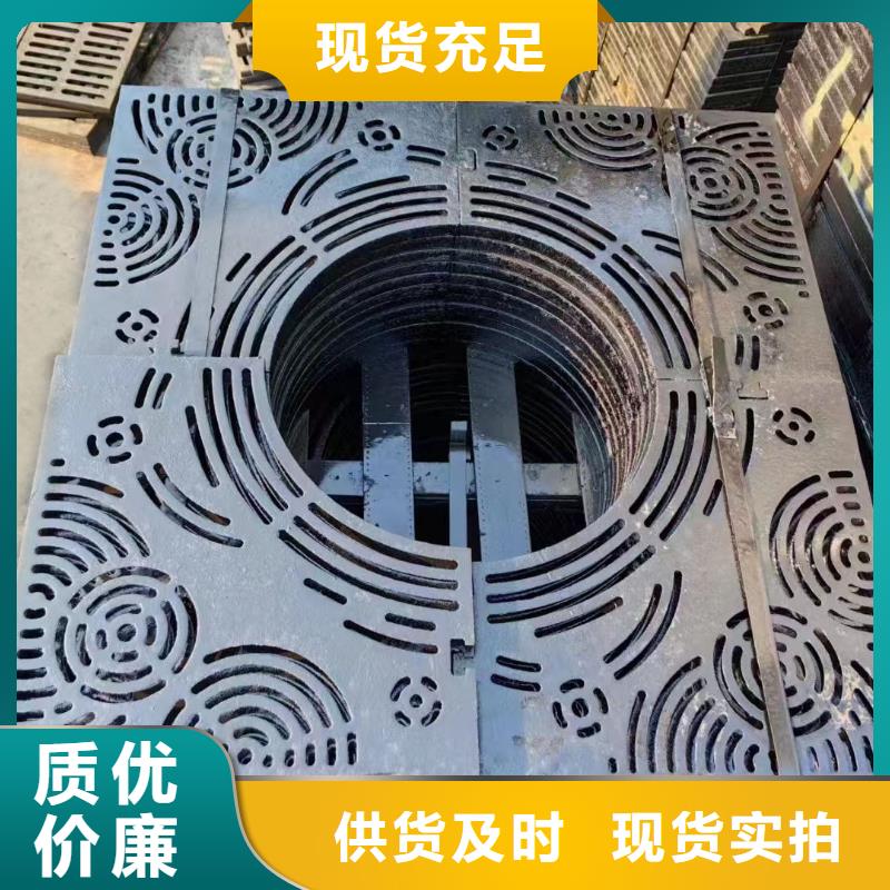 爬梯踏步球墨铸铁在线报价建通铸造厂家
