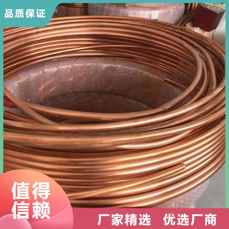 6005铝排欢迎咨询