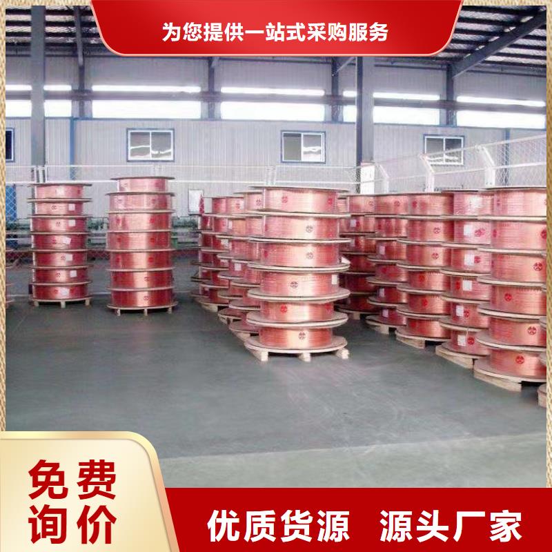 包塑紫铜管【修饰词