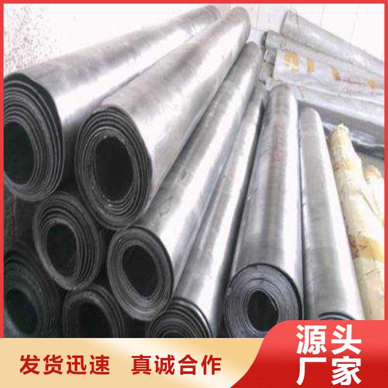 铅门支持加工定制