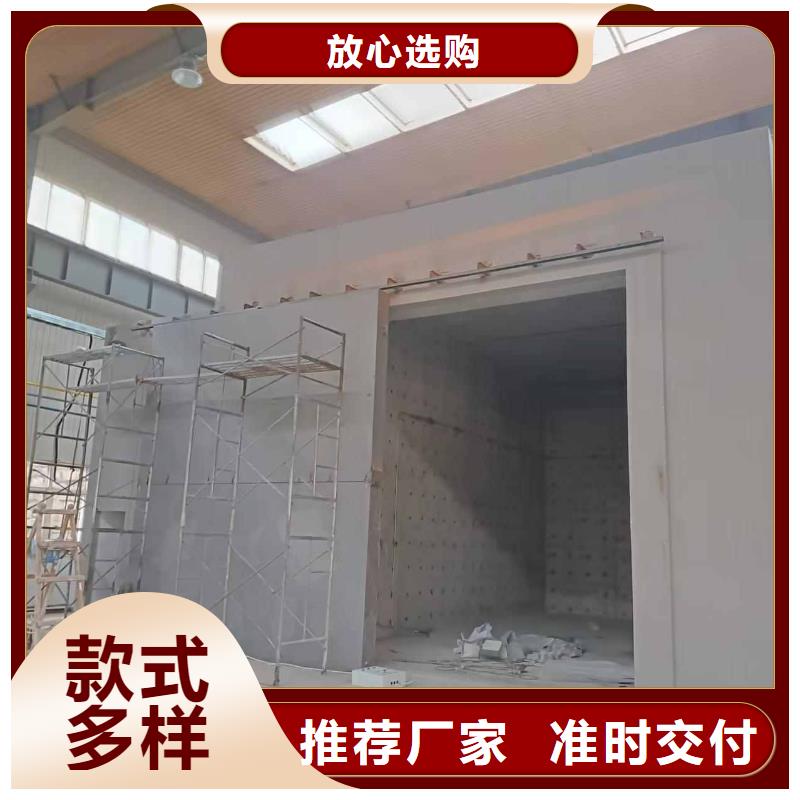 探伤室防护门匠心品质