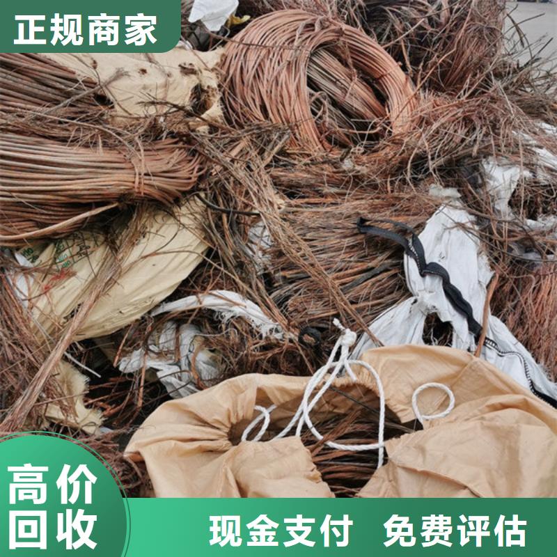 回收纯镍欢迎咨询