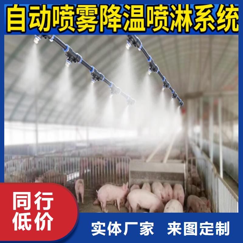 车辆人员自动消毒通道价格|厂家