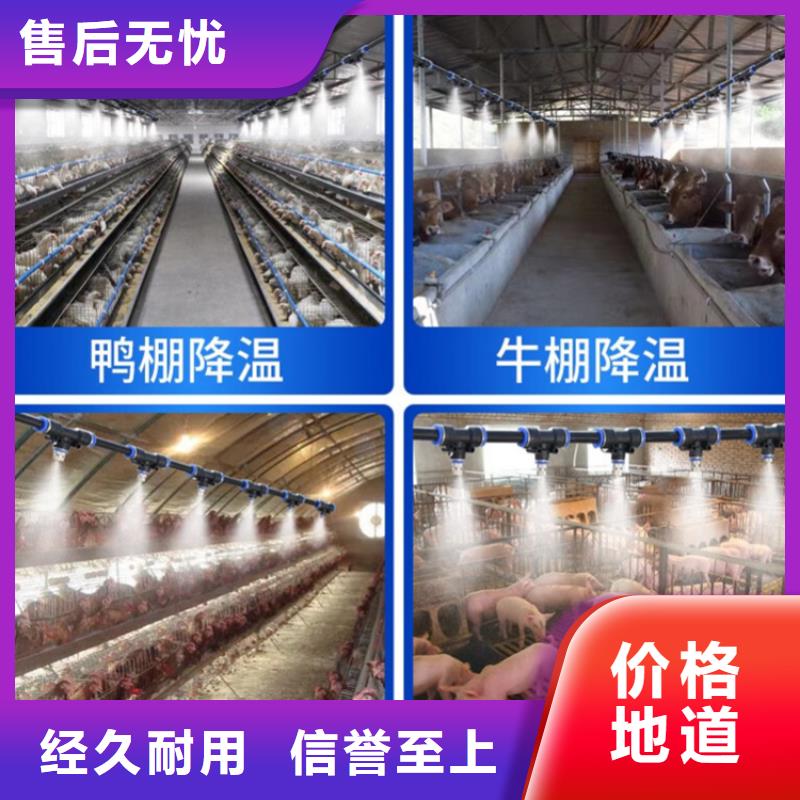 车辆人员自动消毒通道价格|厂家