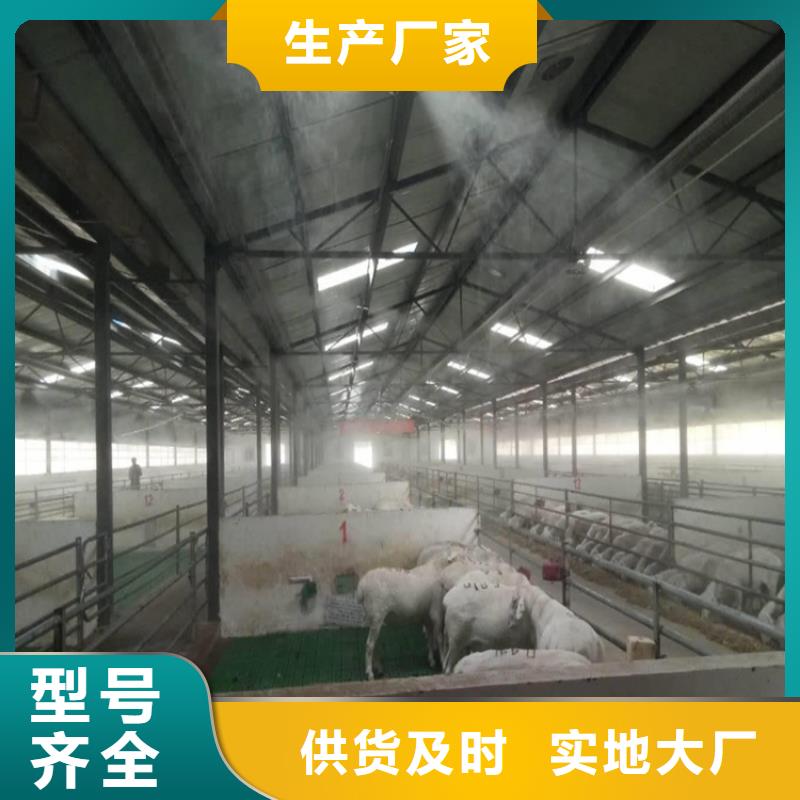 车辆人员自动消毒通道供货及时保证工期