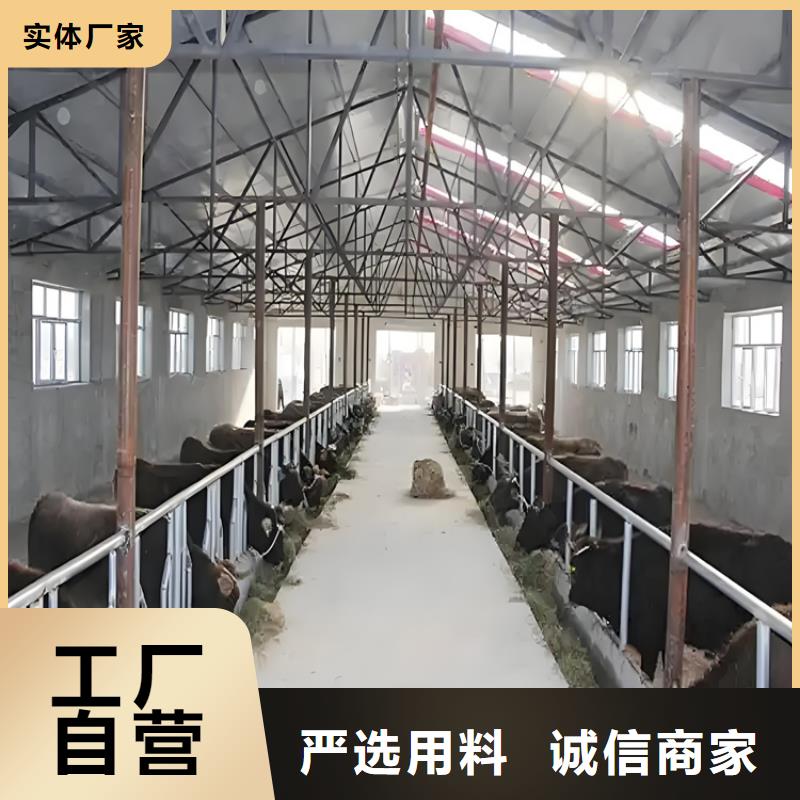 车辆人员自动消毒通道厂家已认证