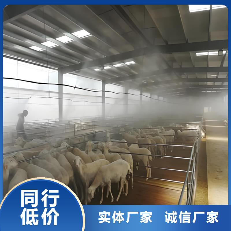 养殖场车辆消毒通道-养殖场车辆消毒通道定制