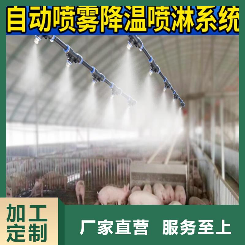 专业销售屠宰场喷淋消毒通道-保量