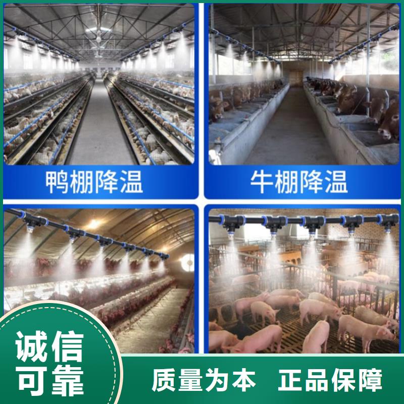 生猪养殖场车辆消毒通道大厂家才可靠