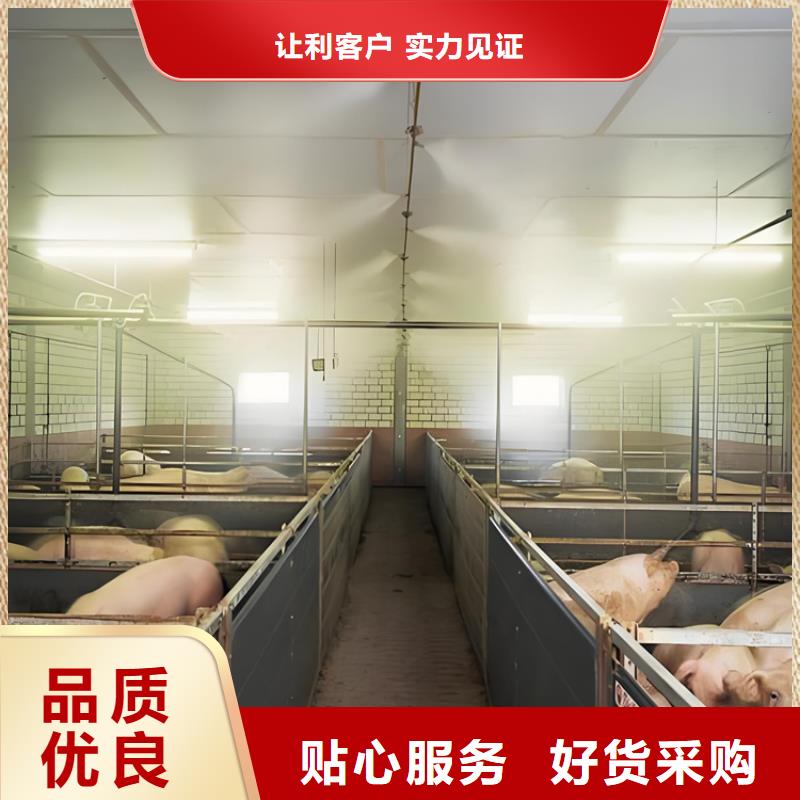 屠宰场喷淋消毒通道经销商