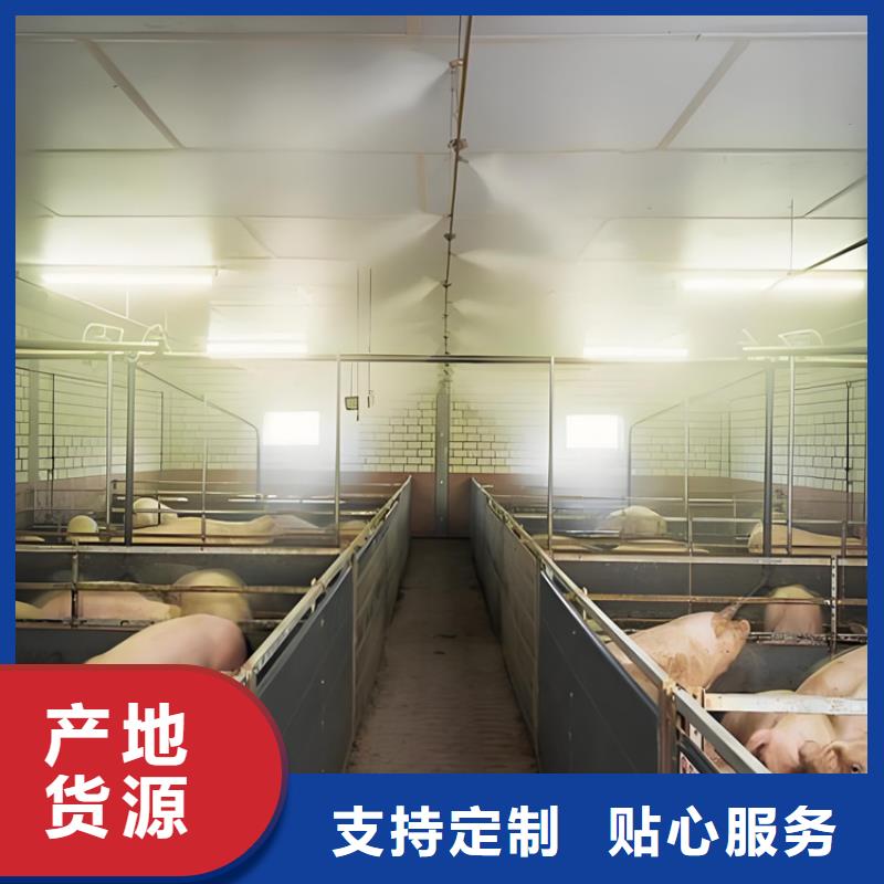 车辆消毒喷淋可随时发货