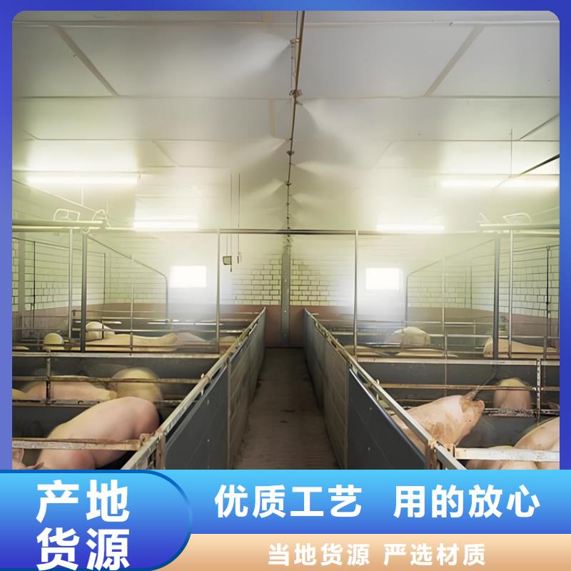 人员消毒通道-人员消毒通道专业品质