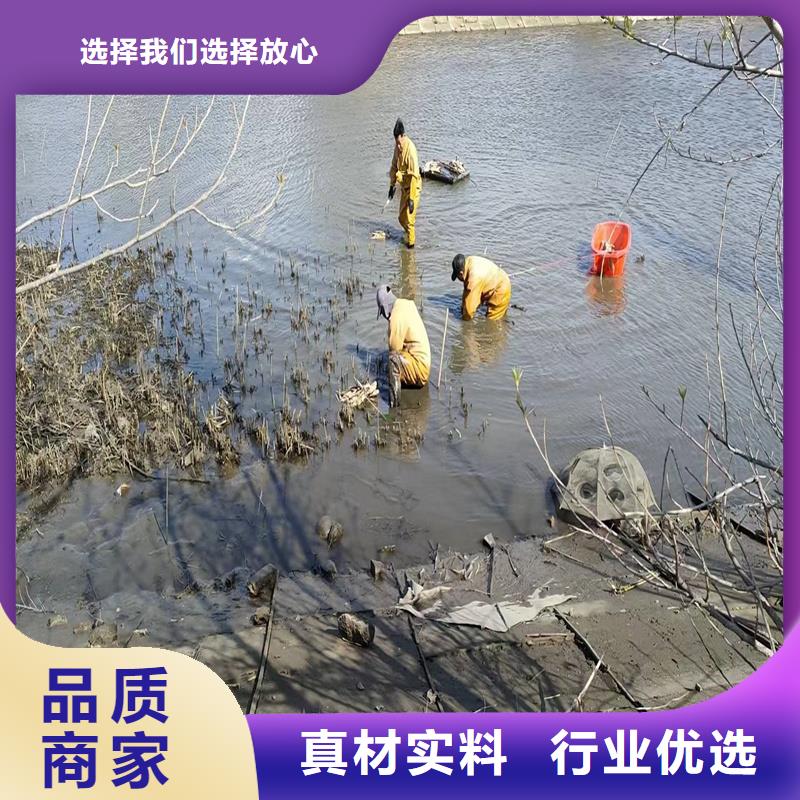 供应批发深水荷花苗-省心