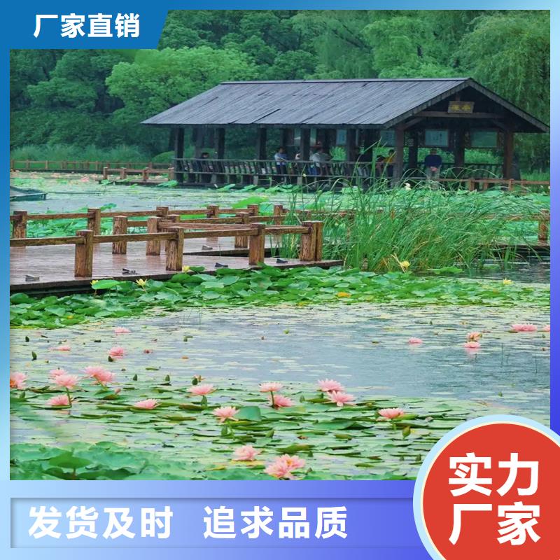 睡莲的花语和寓意常规货源充足