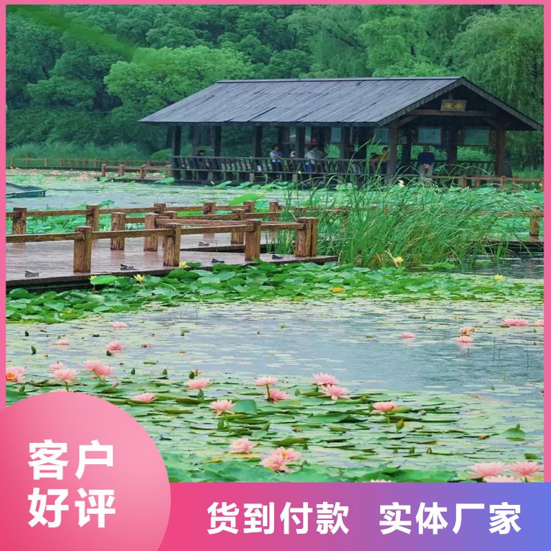 精品睡莲生产经验丰富