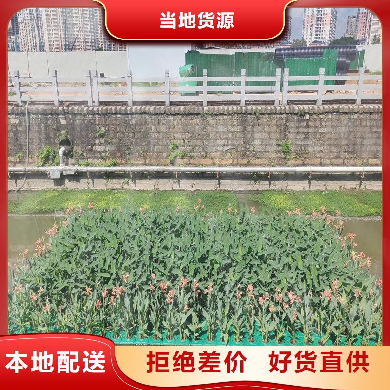 自然浮岛值得信赖的厂家