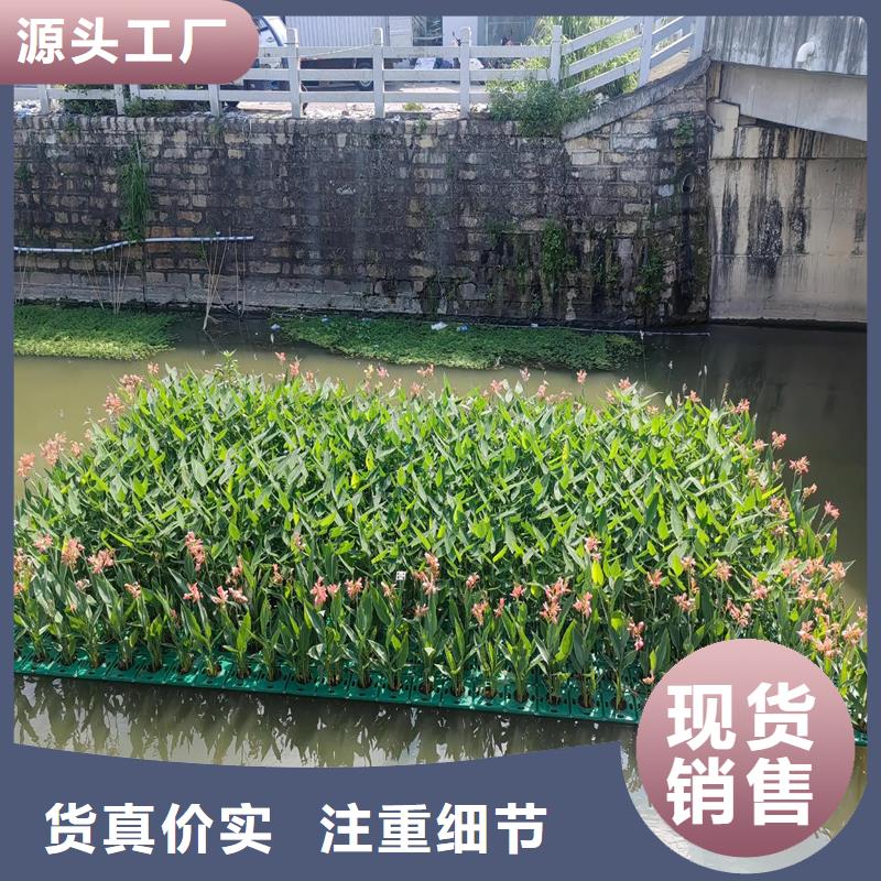 深圳人工浮岛公司低于市场价