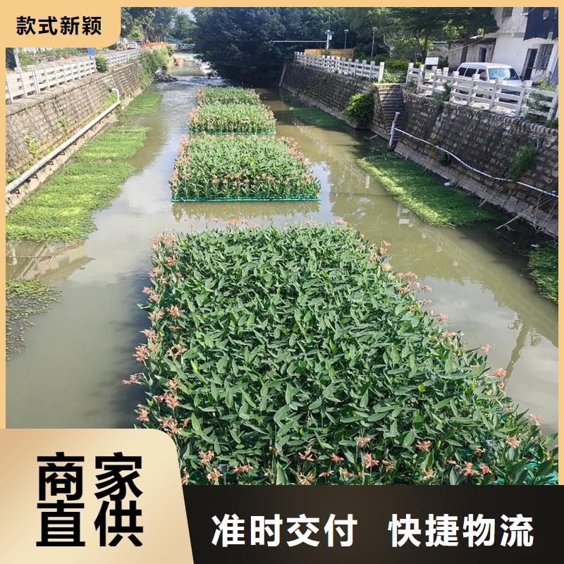 2025欢迎访问##水面生态浮岛##生产厂家